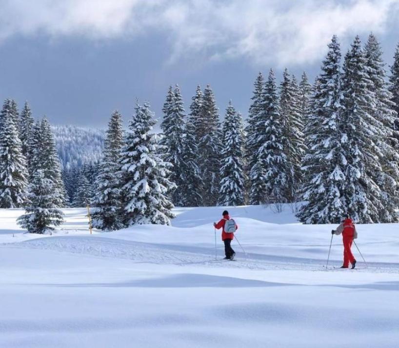 Gite Au Coeur Du Jura Entre Comte Et Vin Jaune, Gite Vin Jaune Chamole المظهر الخارجي الصورة